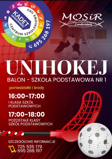 Zdjęcie Unihokej
