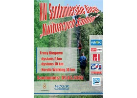 plakat 6db5b