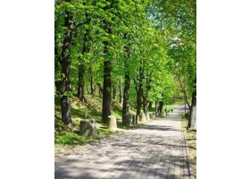 Zdjęcia parku Piszczele